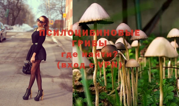 прущая мука Волоколамск