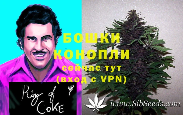 гашик Волосово